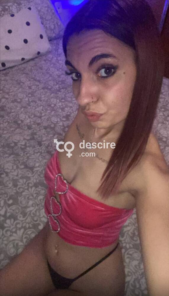 MEEDOGENLOZE EUROPESE SAMARA - Rotterdam - Nederland